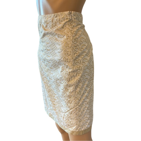 Banana Republic Gold Metallic Eyelet Skirt Size 2 - Picture 3 of 6